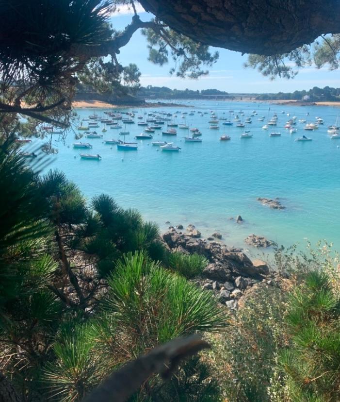 Magnifique Bas De Villa Deux Chambres Situe Pres Des Plages Et Du Golf Saint-Briac-sur-Mer Eksteriør bilde